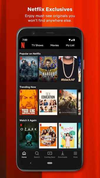 Netflix mobile app was developed using the cross platform mobile app development framework Kotlin